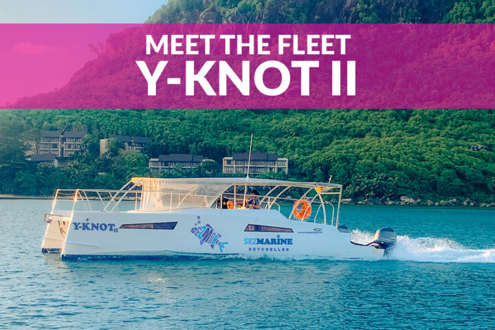 Y-Knot 2 boat for hire in Seychelles