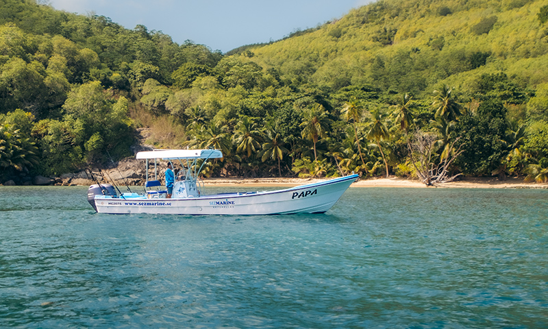 Fishing Boat for hire Seychelles - Papa_011