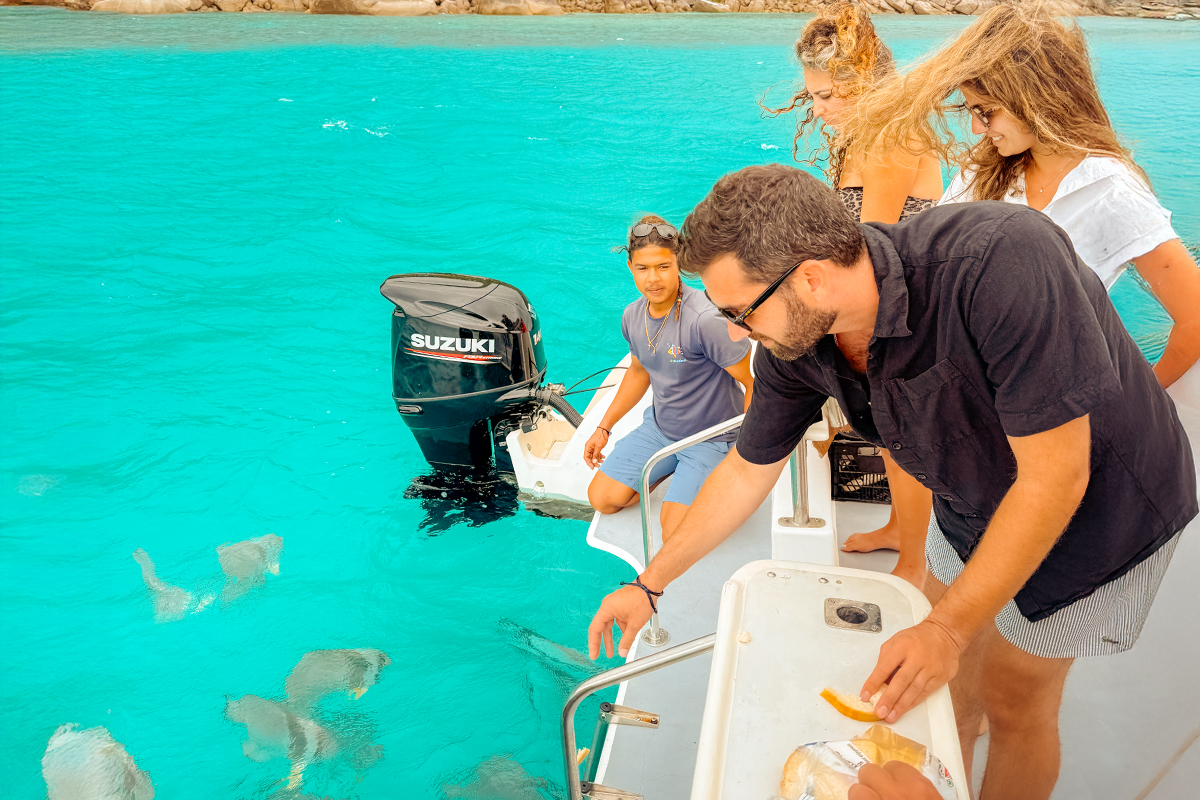 Hire a boat in Seychelles with SezMarine Hire a boat in Seychelles with SezMarine